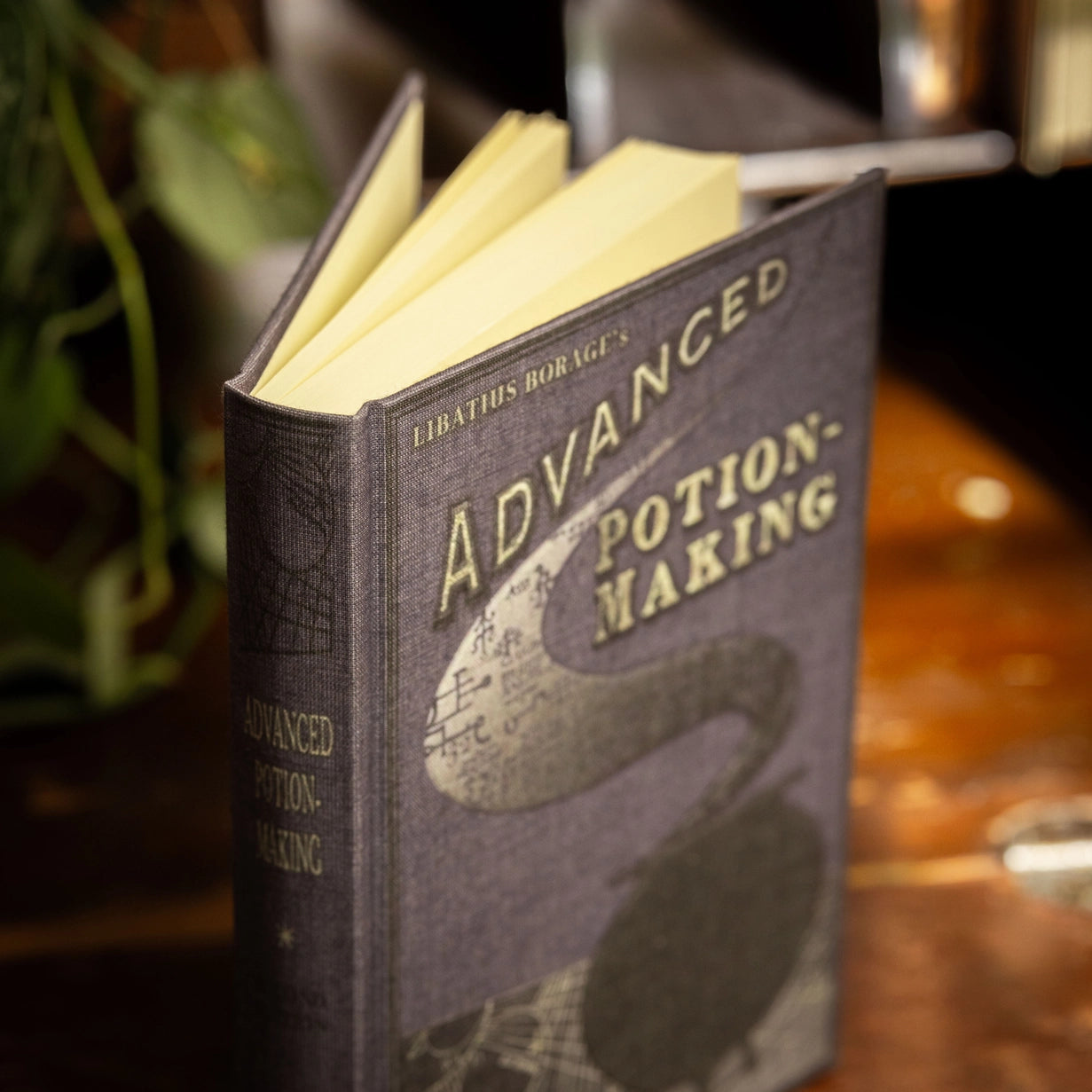 Advanced Potion Making Journal, Vintage Cover, Blank Pages