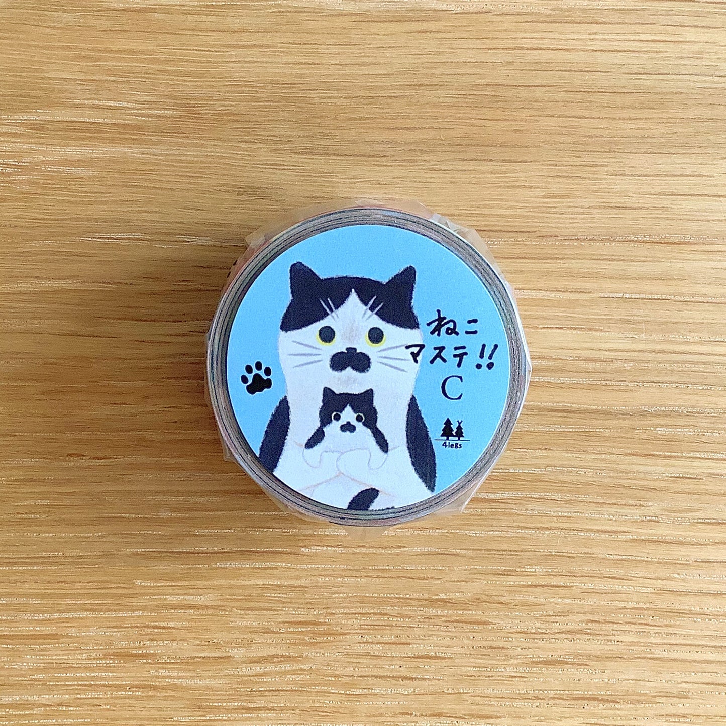 Cat Portraits Washi Tape