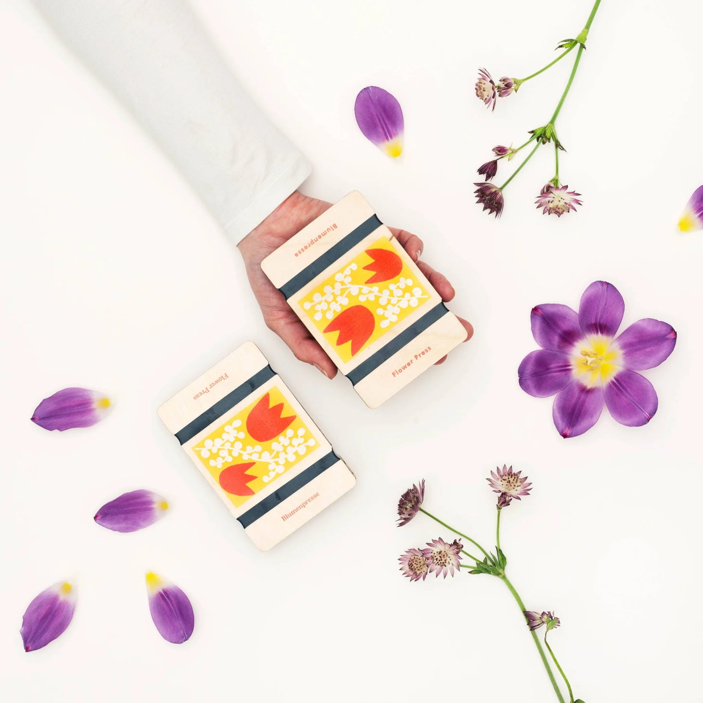 Pocket Flower Press - Tulip