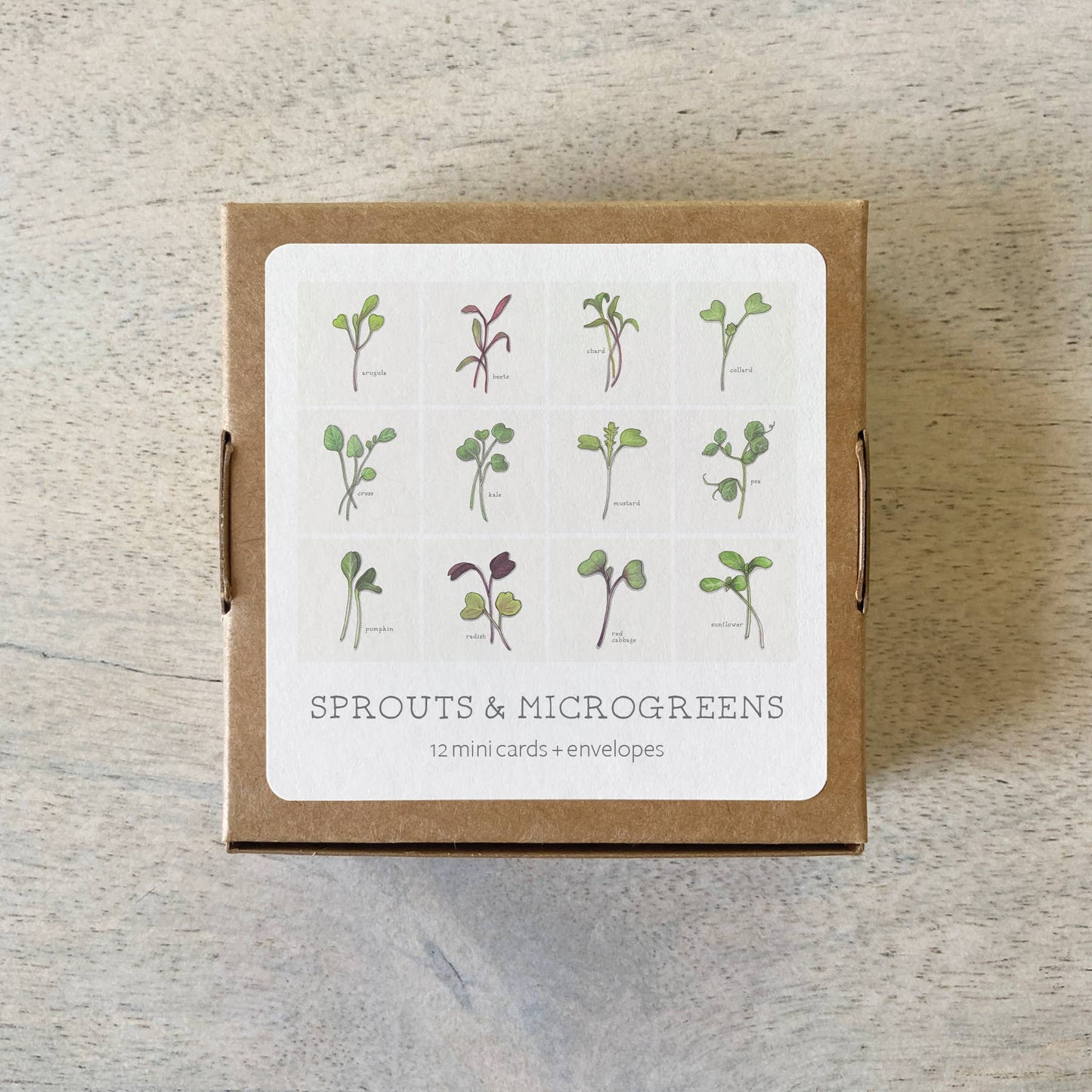 Mini Cards Set / Vegetables . Sprouts & Microgreens