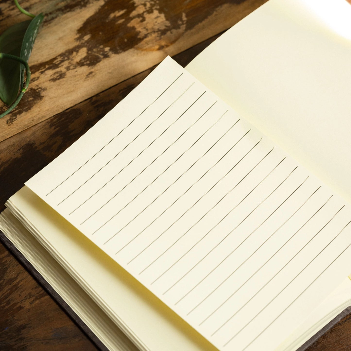 The Little Prince Journal, Vintage Cover, Blank Pages