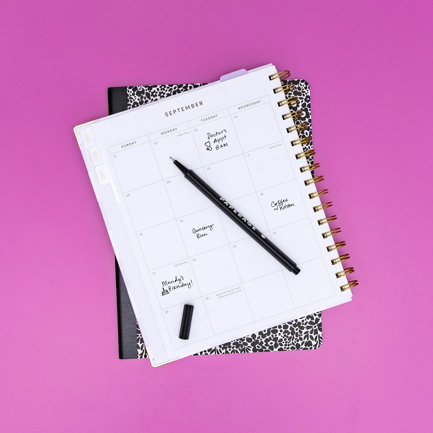 12 Pack Felt Tip Fine Line Pastel Marker Pens with Case