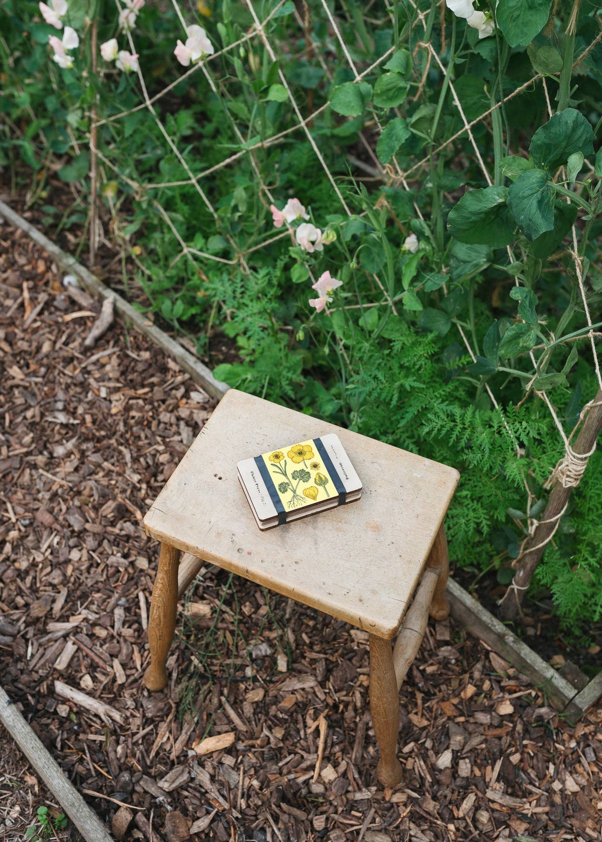 Pocket Flower Press - Vintage Buttercup