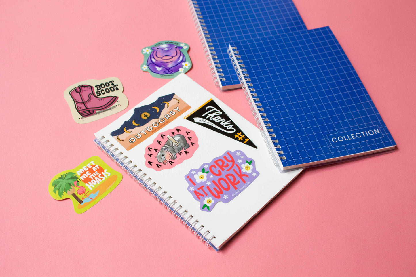 Collection - Reusable Sticker Book