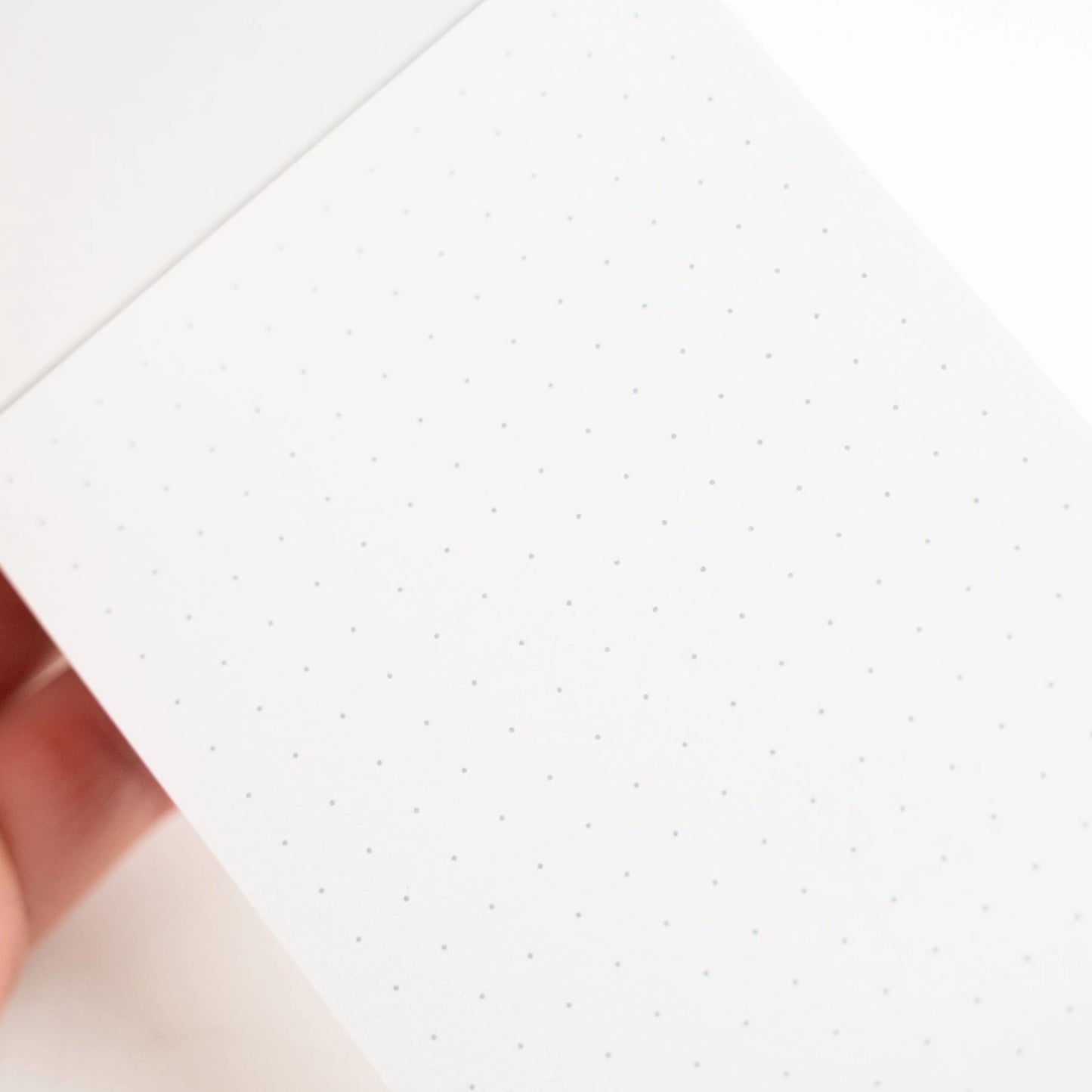 Archer and olive Nightblooms starbright memo pad interior pages are white with dot grid pattern.