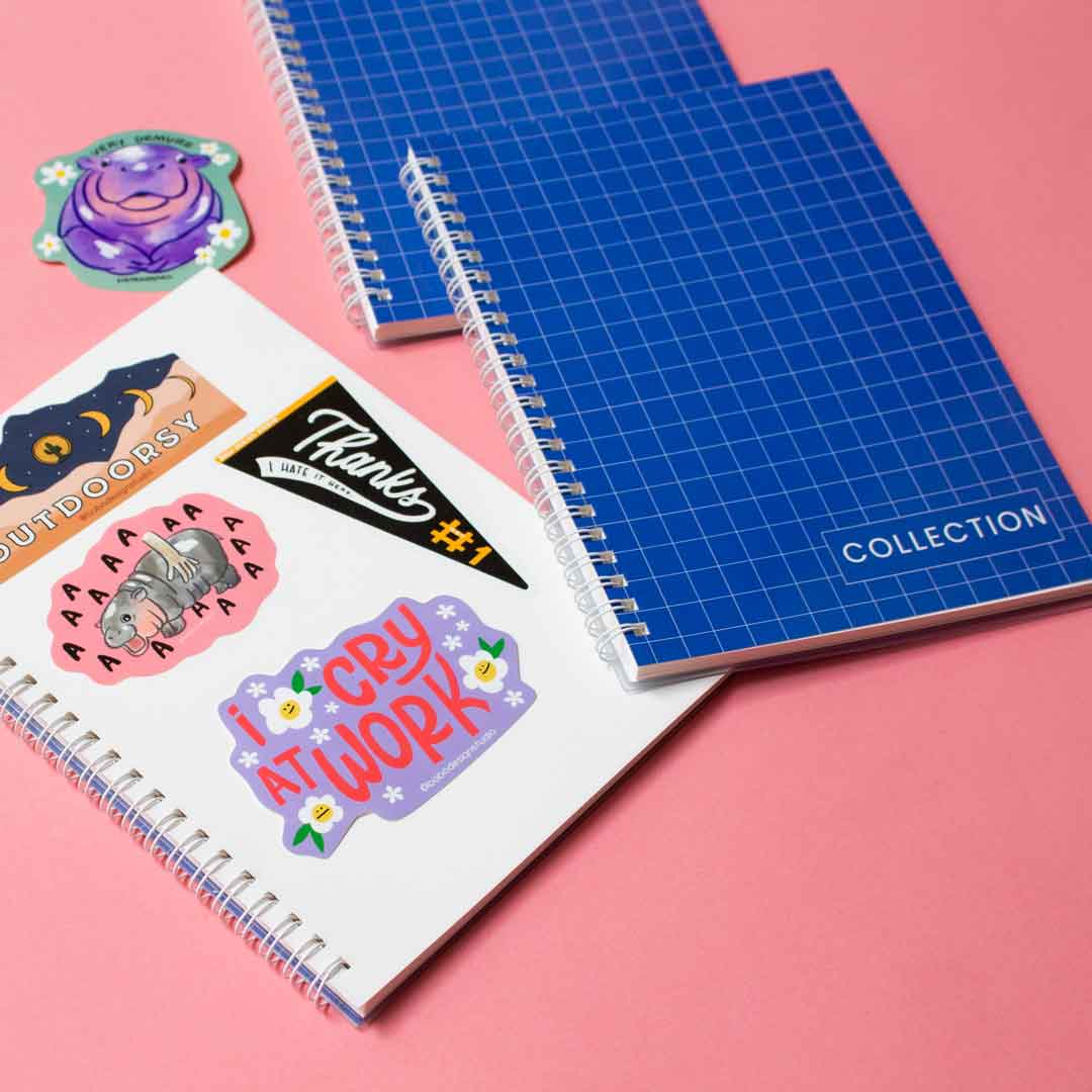 Collection - Reusable Sticker Book