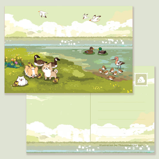 Postcard By the Shoreline