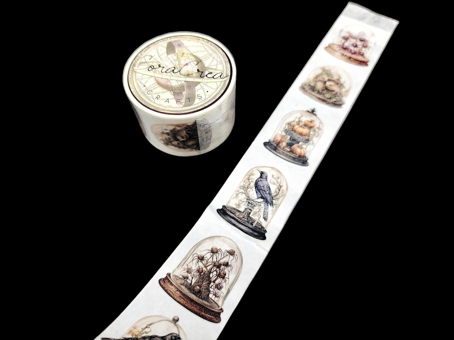 Specimen Display Domes Washi Tape