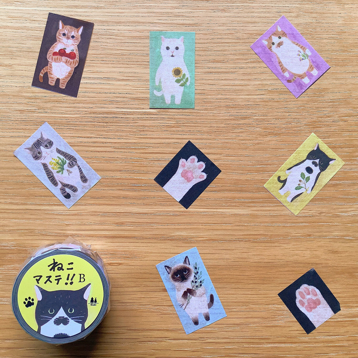 4Legs - Cat masking tape (B)