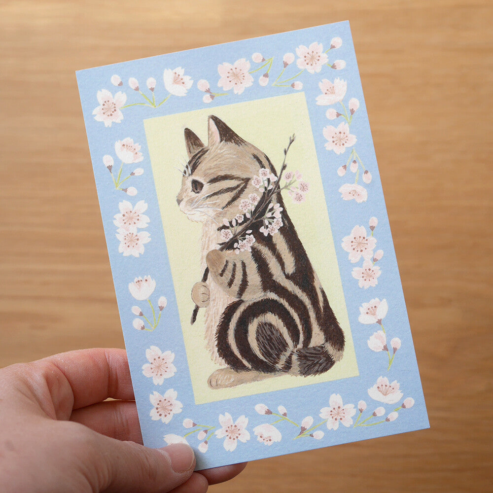 4Legs Postcards