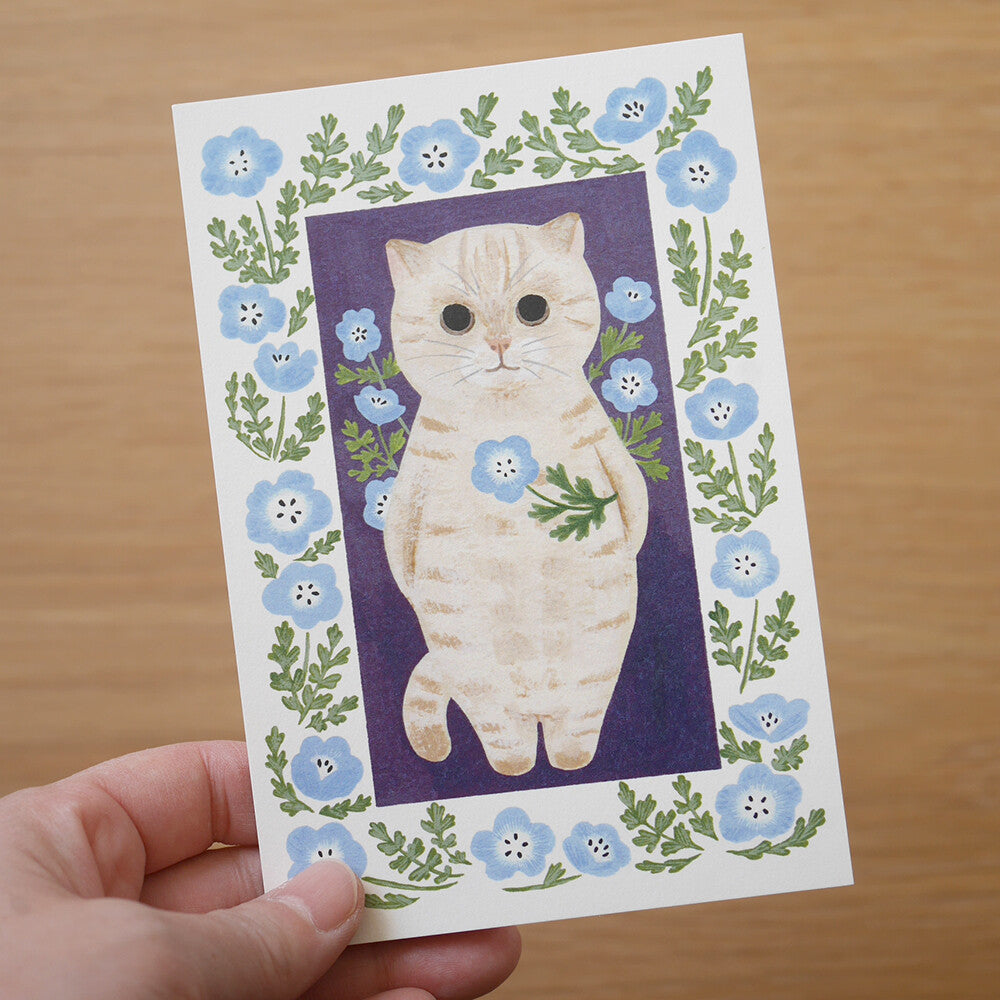 4Legs Postcards