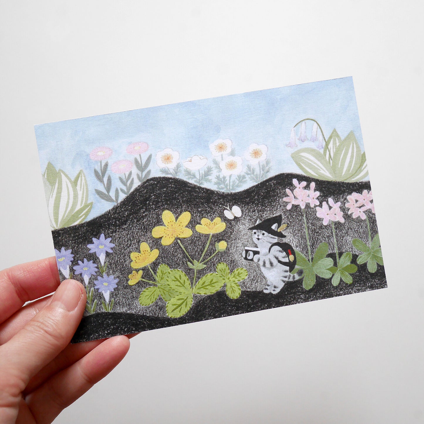 4Legs Postcards