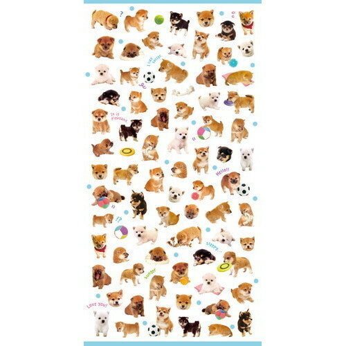 Seal Petit Petit Petit Shibas
