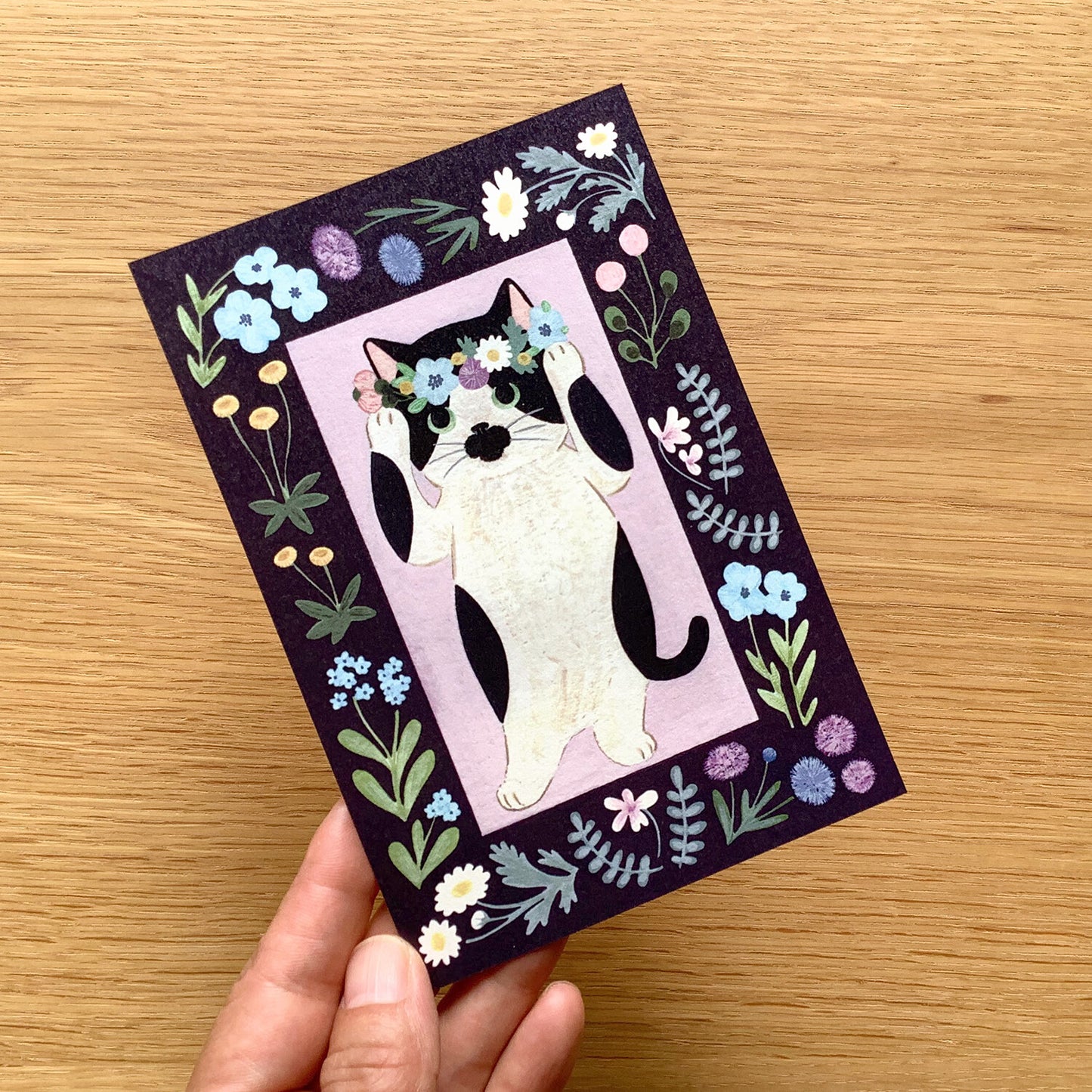4Legs Postcards