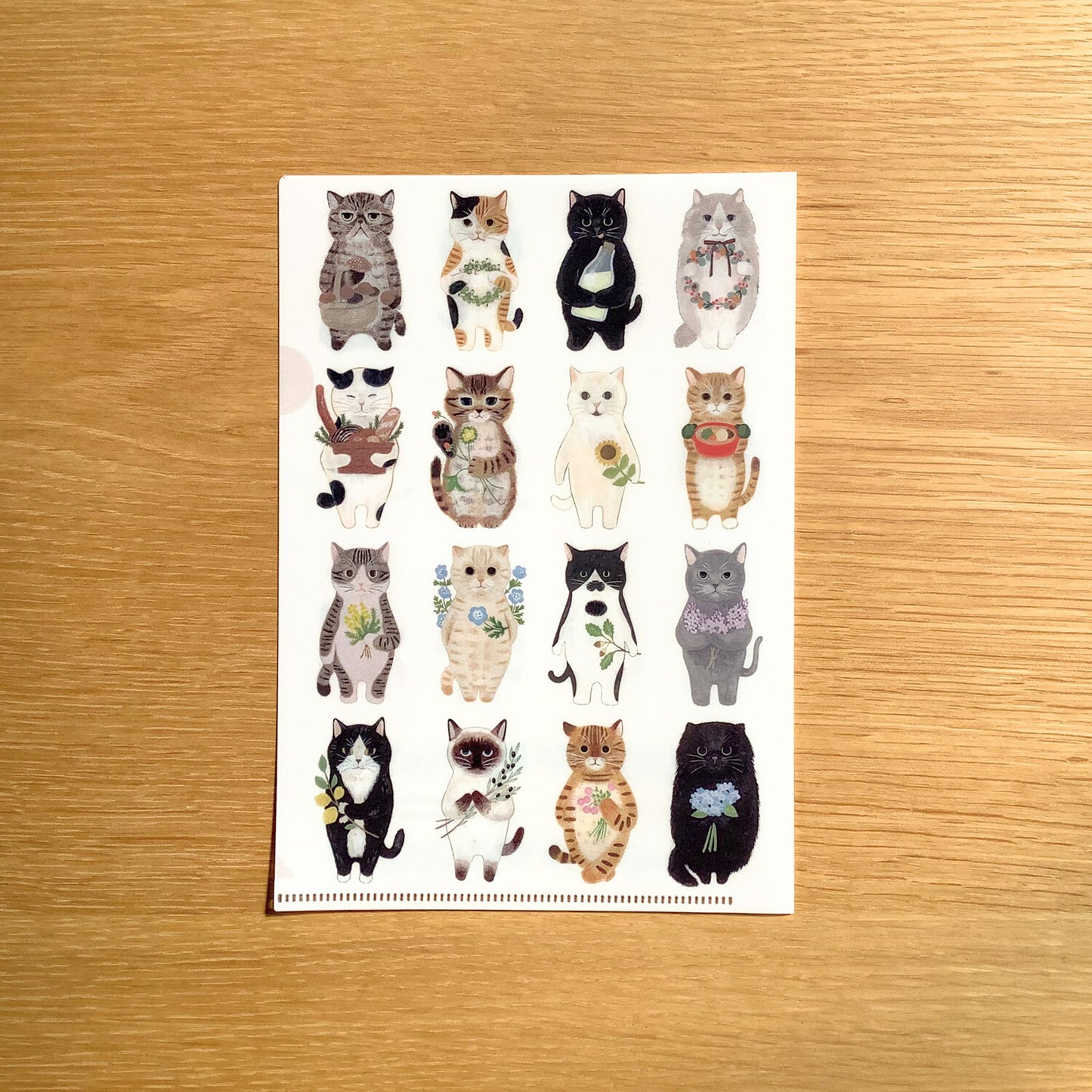 Filing Item A5 Clear File Folder