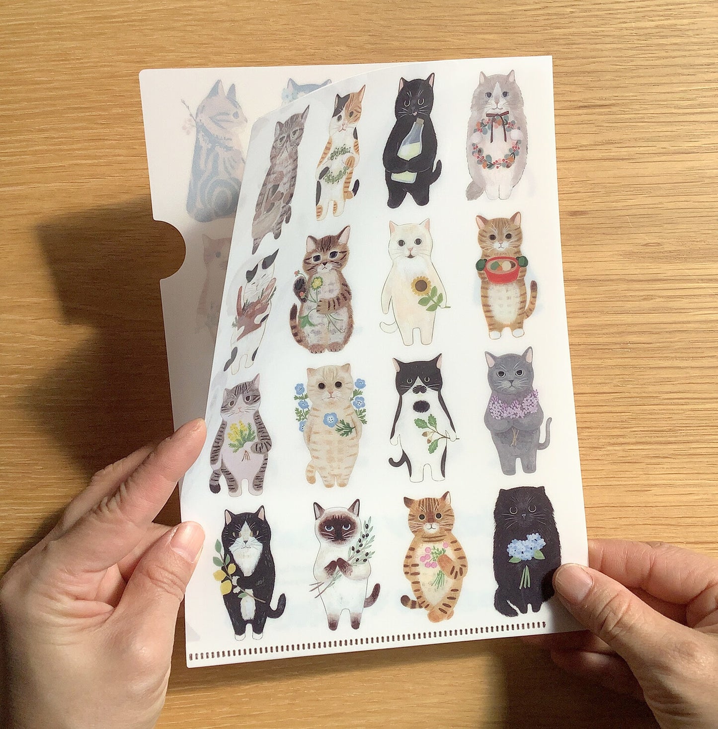 Filing Item A5 Clear File Folder