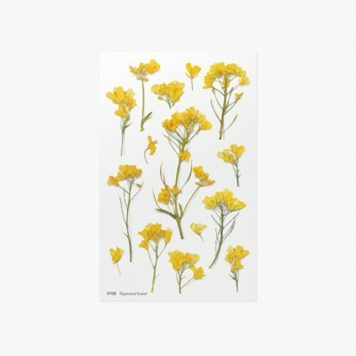 Leaf Knickknacks Flowers Stationery