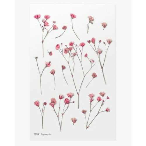 Leaf Knickknacks Flowers Stationery