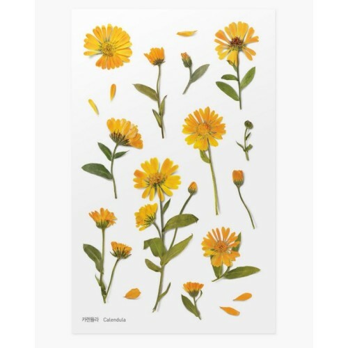 Leaf Knickknacks Flowers Stationery
