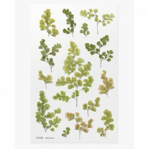 Leaf Knickknacks Flowers Stationery