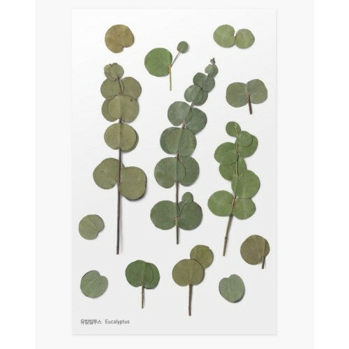 Leaf Knickknacks Flowers Stationery
