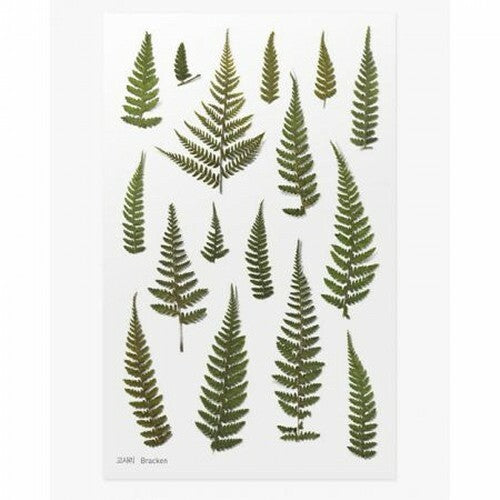 Leaf Knickknacks Flowers Stationery