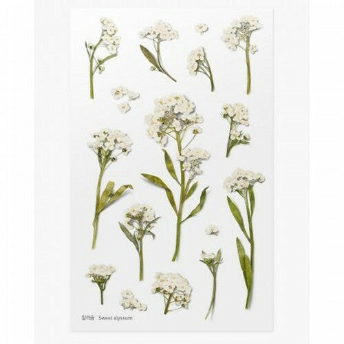 Leaf Knickknacks Flowers Stationery