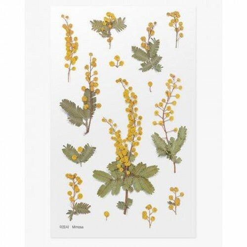 Leaf Knickknacks Flowers Stationery