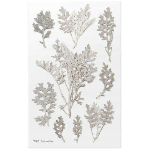 Leaf Knickknacks Flowers Stationery