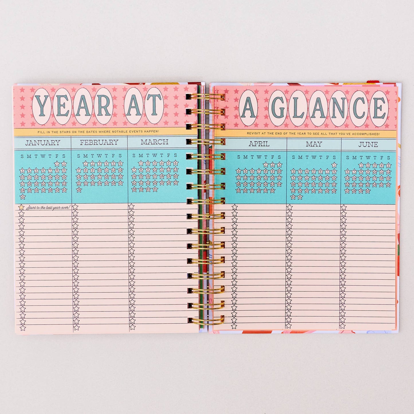 Medium 17-Month Academic Planner, Icons