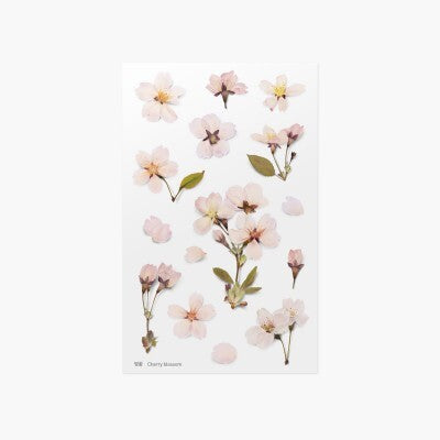 Leaf Knickknacks Flowers Stationery