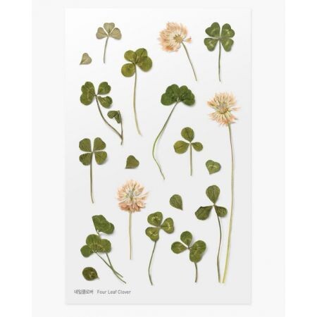 Leaf Knickknacks Flowers Stationery