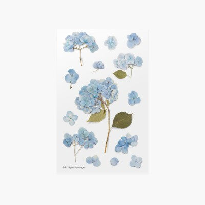 Leaf Knickknacks Flowers Stationery