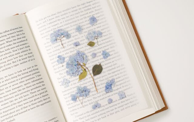 Leaf Knickknacks Flowers Stationery