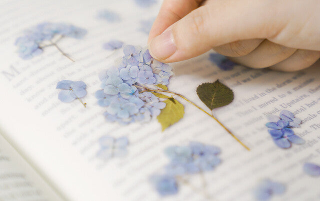Leaf Knickknacks Flowers Stationery