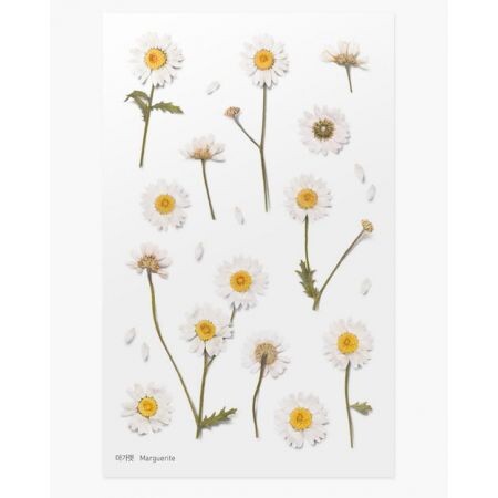Leaf Knickknacks Flowers Stationery