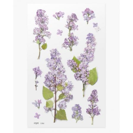 Leaf Knickknacks Flowers Stationery