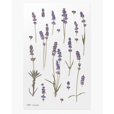 Leaf Knickknacks Flowers Stationery