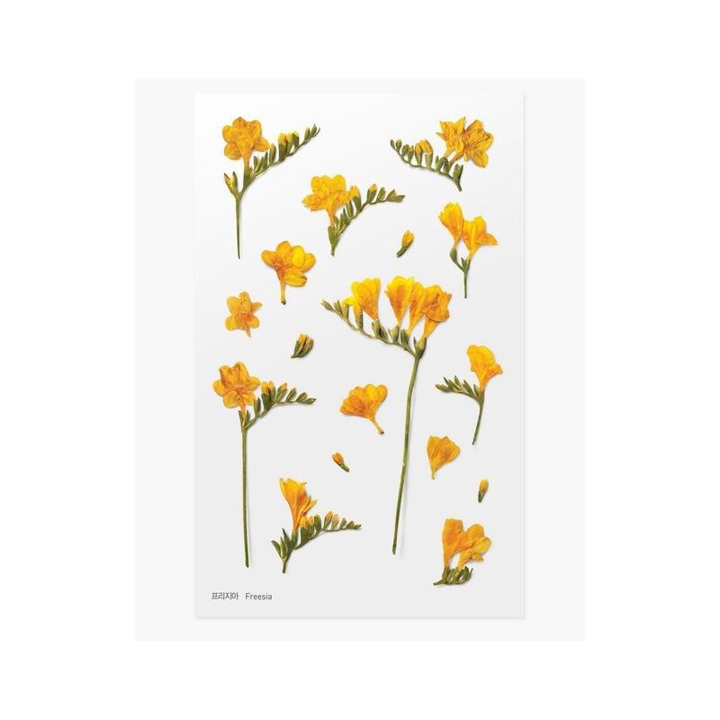 Leaf Knickknacks Flowers Stationery