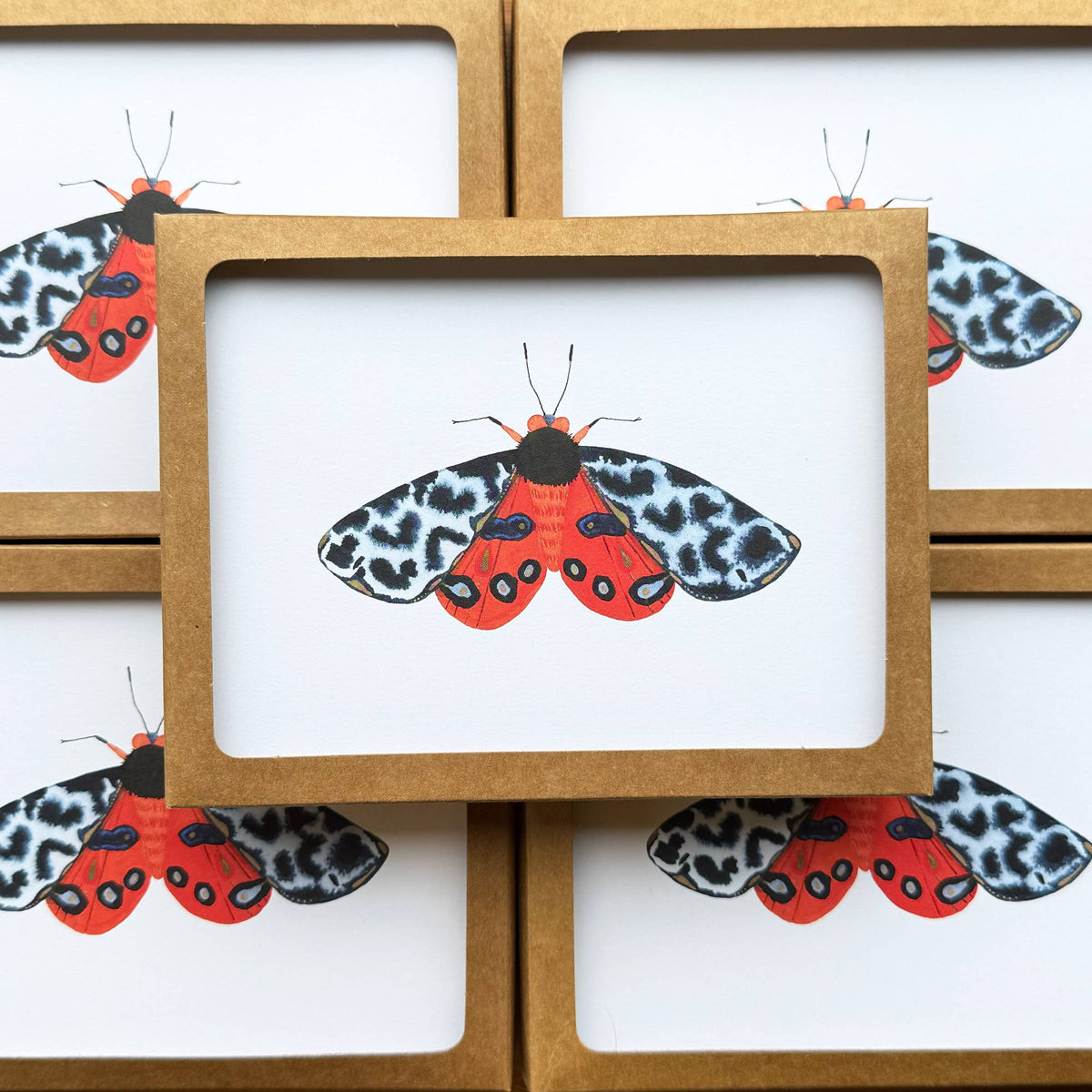 Bugs & Butterflies: Series 1, Boxed Set of 8 Note Cards, 2 each of 4 designs