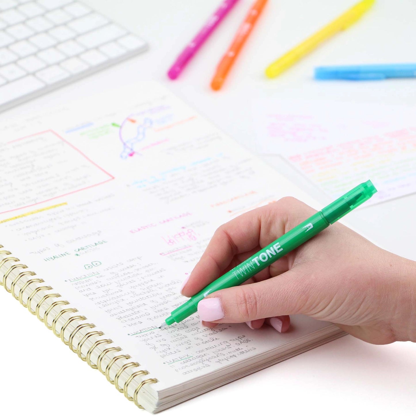 TwinTone Dual Tip Markers (Rainbow)