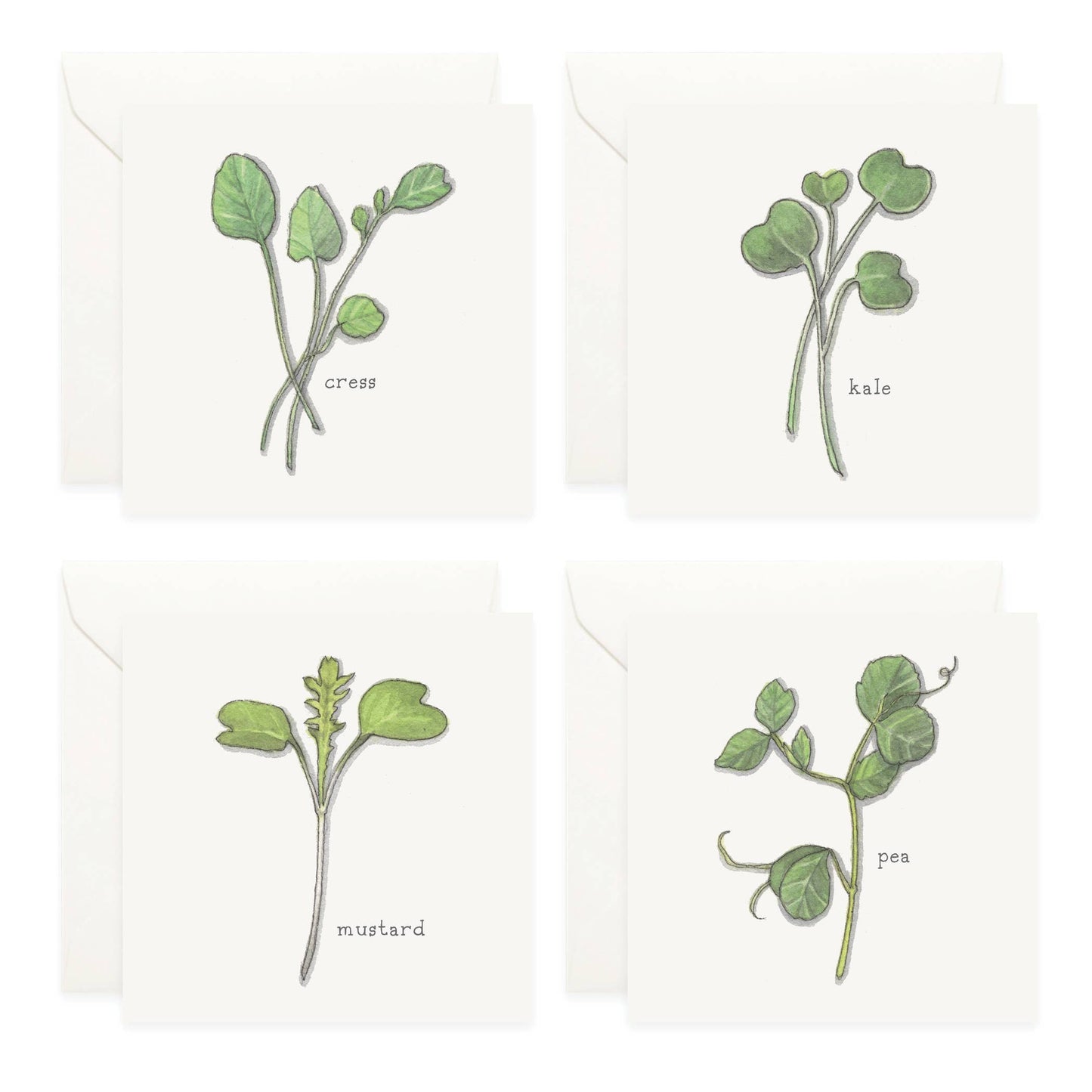 Mini Cards Set / Vegetables . Sprouts & Microgreens