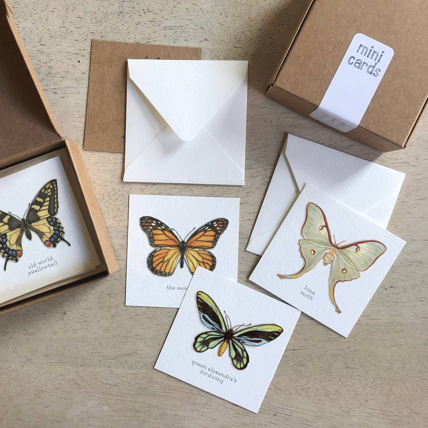 Mini Cards Set / Butterflies & Moths
