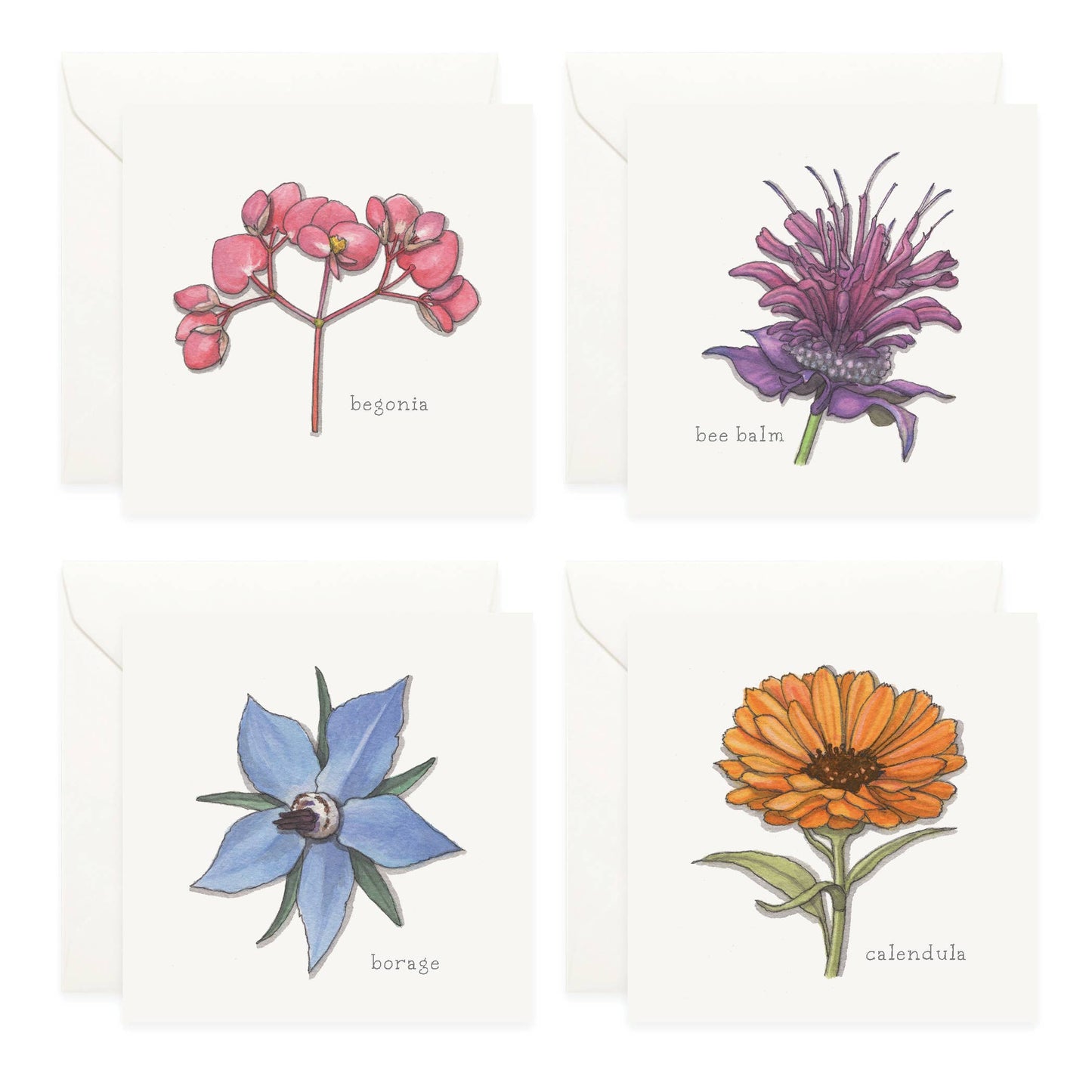 Mini Cards Set / Flowers 01