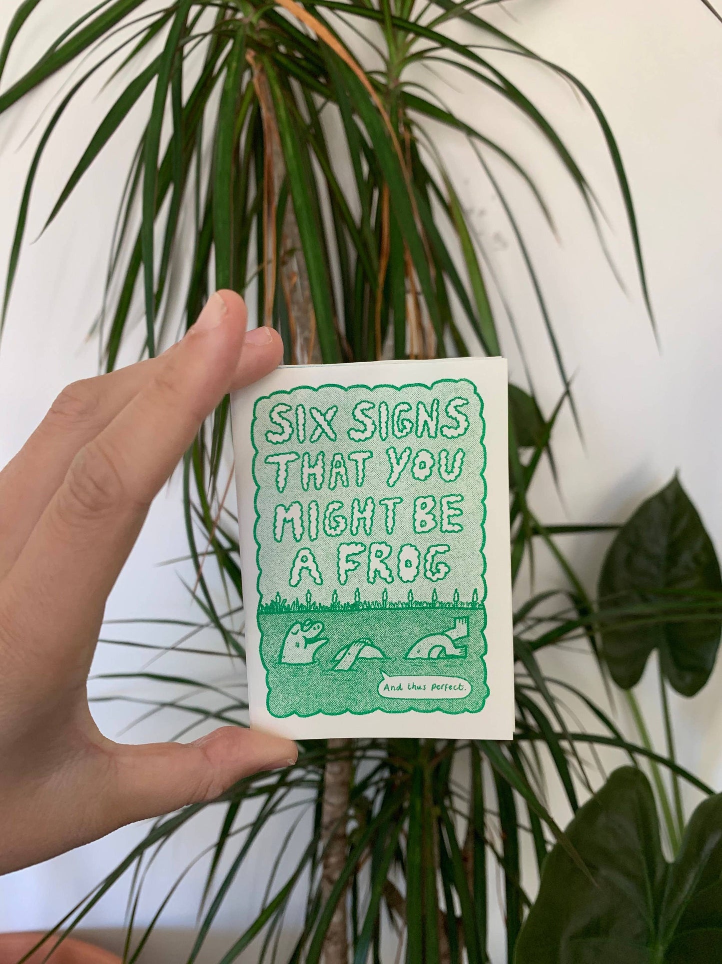 Six Signs You Might Be A Frog Riso Zine A7 MIXED COLOURS