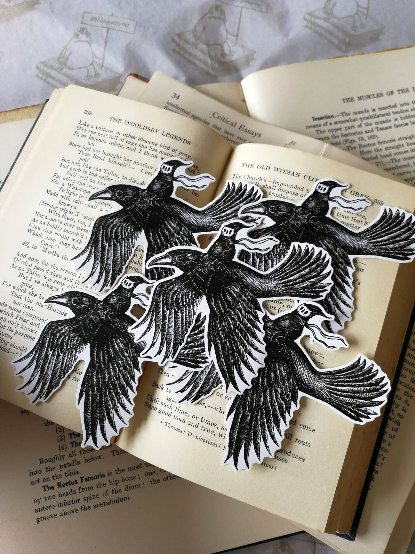 Crow Rider Vinyl Sticker