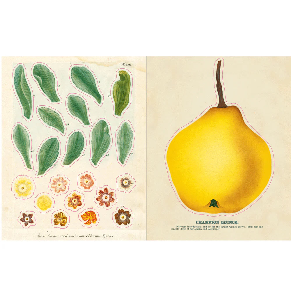 John Derian Sticker Book