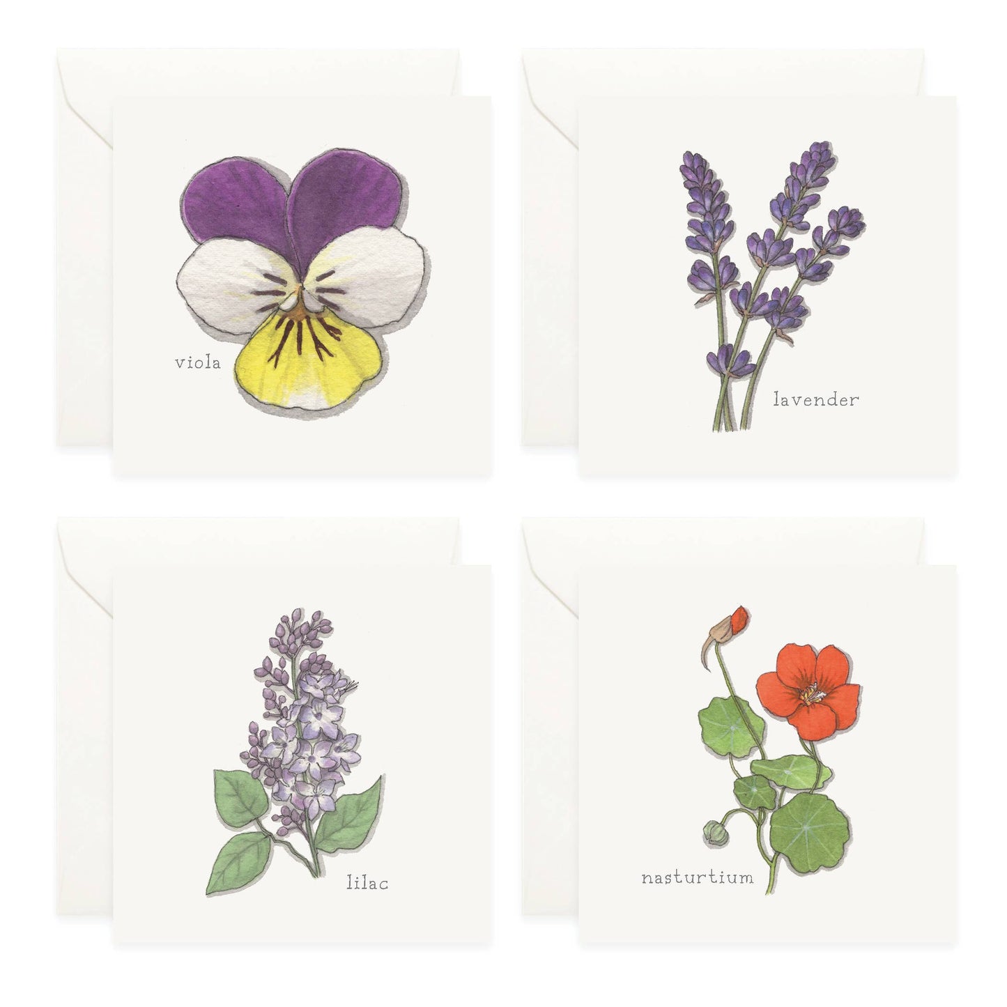 Mini Cards Set / Flowers 02