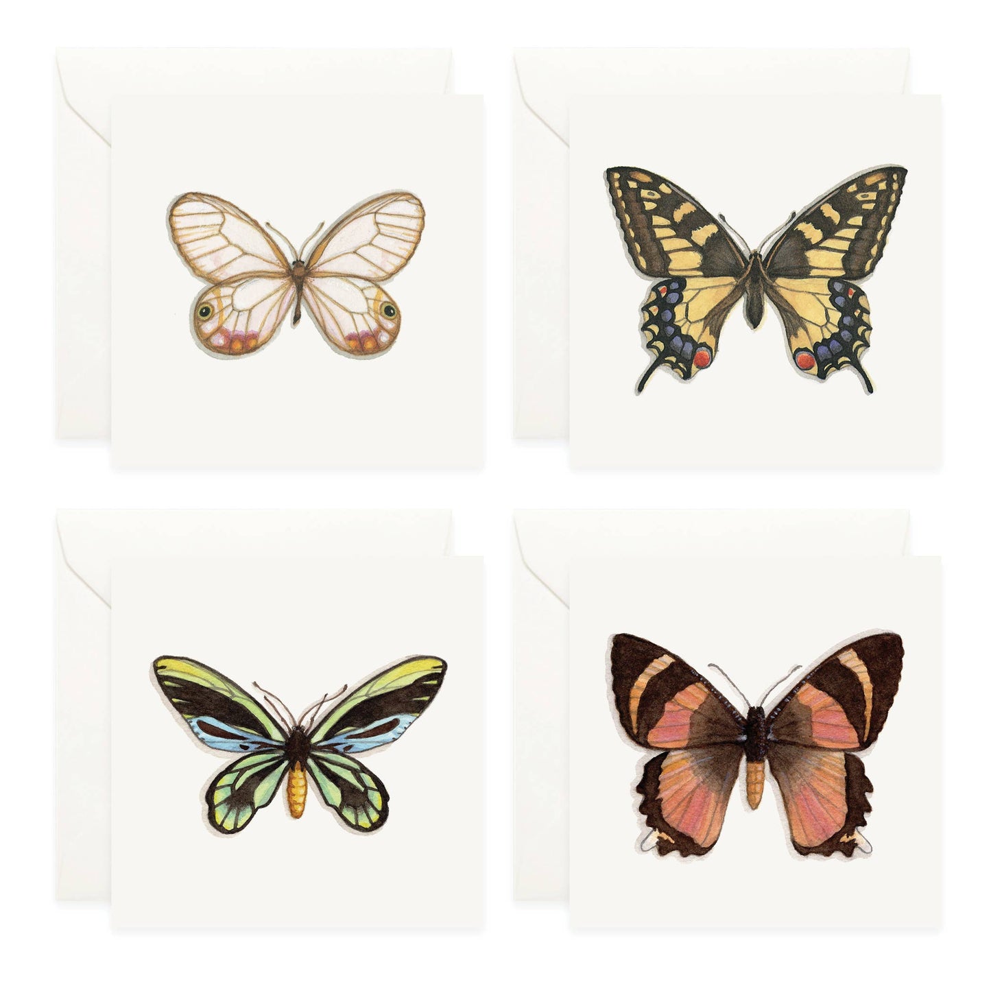 Mini Cards Set / Butterflies & Moths