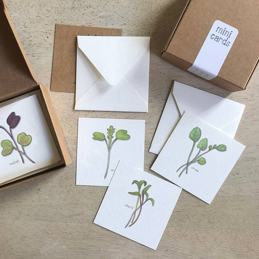 Mini Cards Set / Vegetables . Sprouts & Microgreens